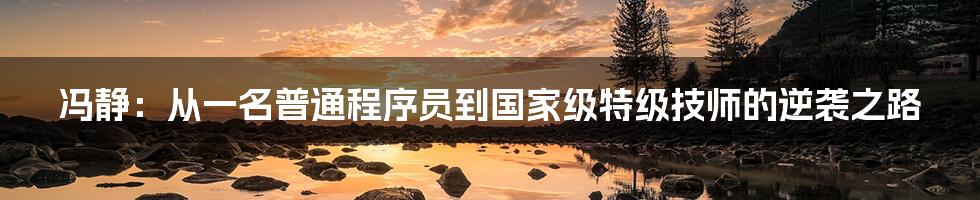 冯静:从一名普通程序员到国家级特级技师的逆袭之路