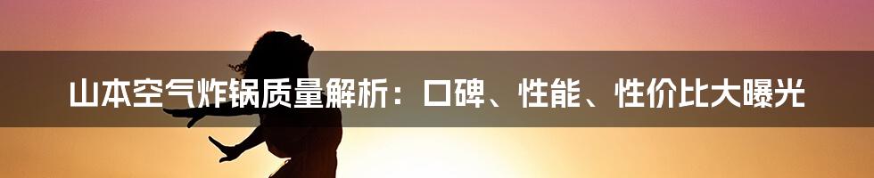 山本空气炸锅质量解析:口碑、性能、性价比大曝光