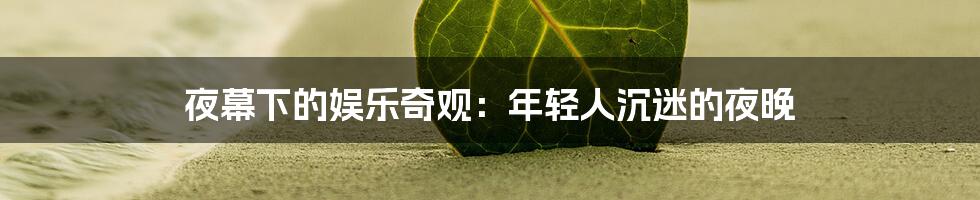 夜幕下的娱乐奇观:年轻人沉迷的夜晚