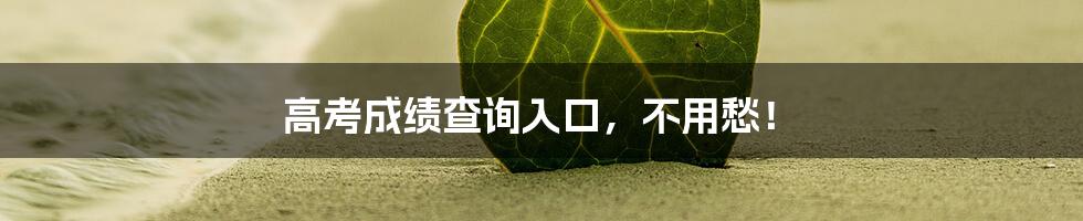 高考成绩查询入口,不用愁!