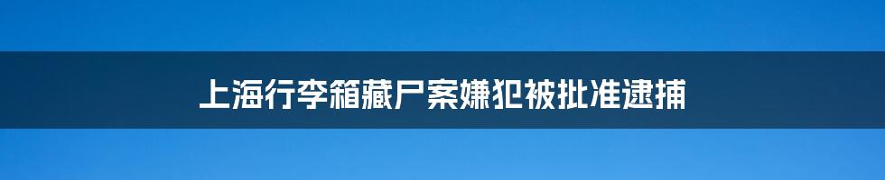上海行李箱藏尸案嫌犯被批准逮捕