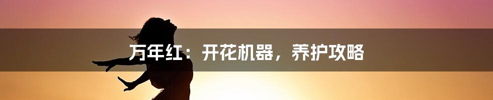 万年红:开花机器,养护攻略