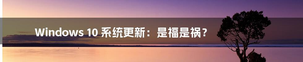Windows 10 系统更新:是福是祸?