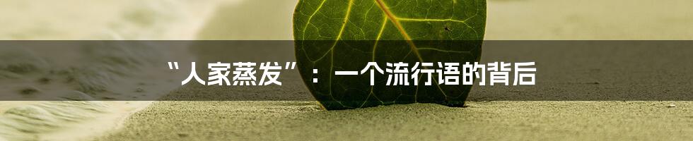 “人家蒸发”:一个流行语的背后
