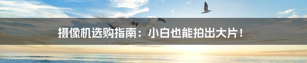 摄像机选购指南:小白也能拍出大片!