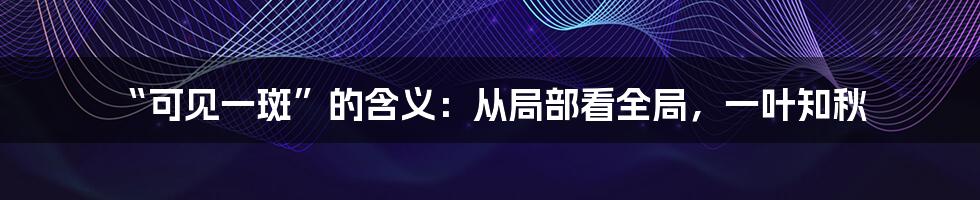 “可见一斑”的含义:从局部看全局,一叶知秋