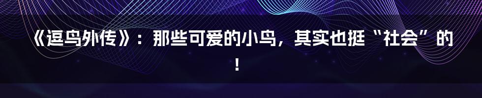 《逗鸟外传》:那些可爱的小鸟,其实也挺“社会”的!