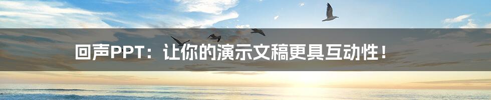 回声PPT:让你的演示文稿更具互动性!