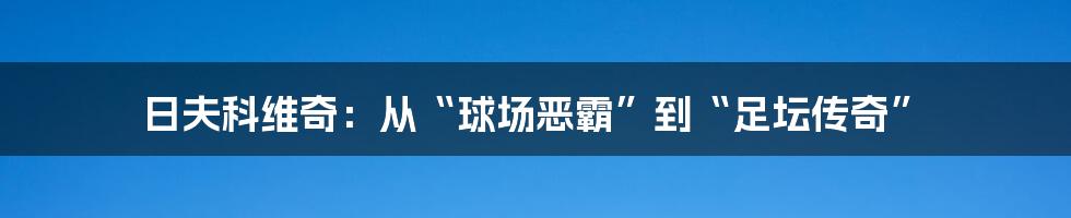 日夫科维奇:从“球场恶霸”到“足坛传奇”