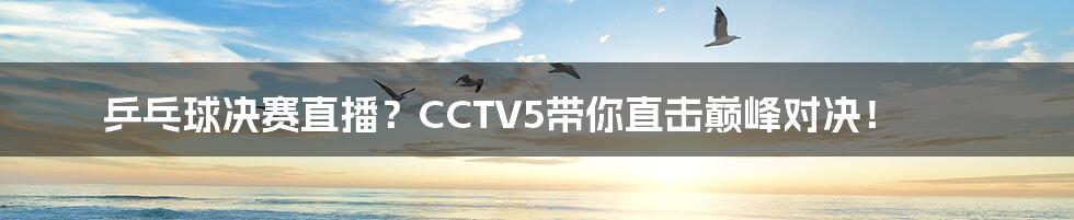 乒乓球决赛直播?CCTV5带你直击巅峰对决!