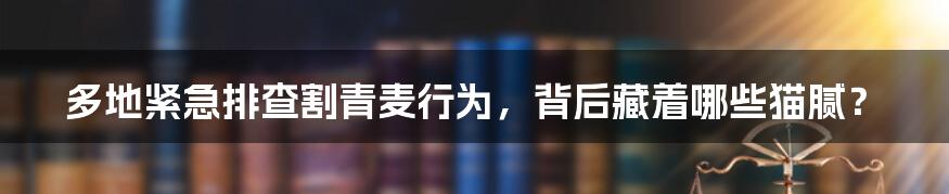 多地紧急排查割青麦行为,背后藏着哪些猫腻?