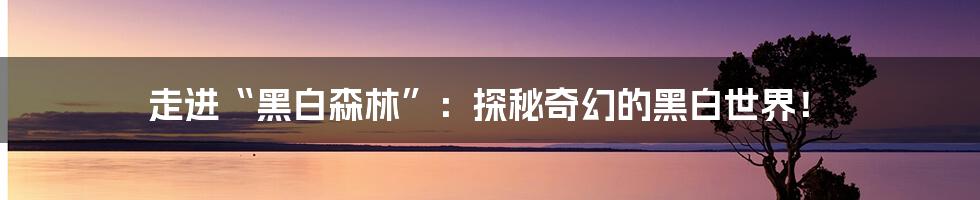 走进“黑白森林”:探秘奇幻的黑白世界!