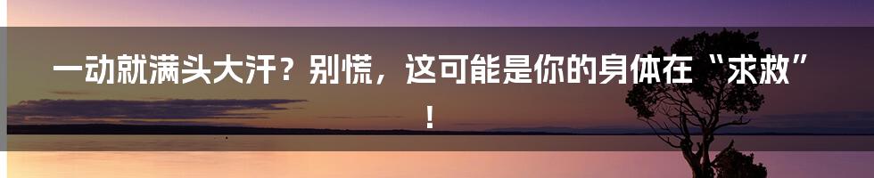 一动就满头大汗?别慌,这可能是你的身体在“求救”!