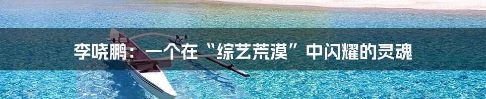李哓鹏:一个在“综艺荒漠”中闪耀的灵魂