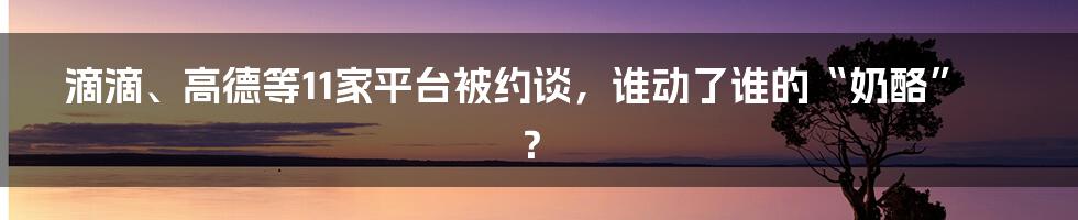 滴滴、高德等11家平台被约谈,谁动了谁的“奶酪”?