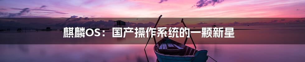 麒麟OS:国产操作系统的一颗新星