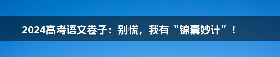 2024高考语文卷子:别慌,我有“锦囊妙计”!