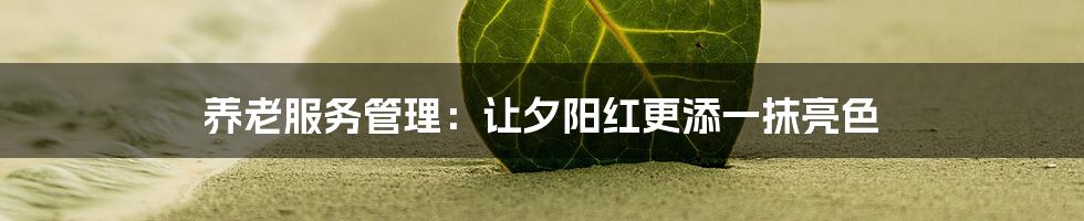养老服务管理:让夕阳红更添一抹亮色