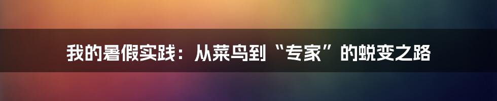 我的暑假实践:从菜鸟到“专家”的蜕变之路