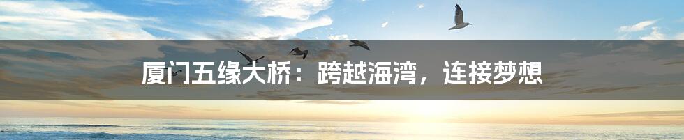 厦门五缘大桥:跨越海湾,连接梦想