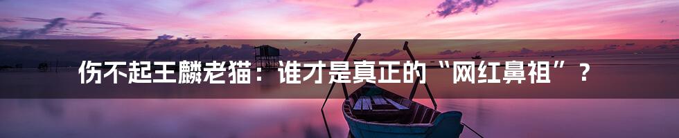 伤不起王麟老猫:谁才是真正的“网红鼻祖”?