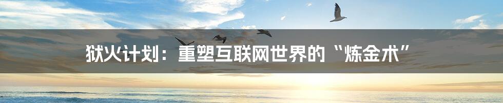 狱火计划:重塑互联网世界的“炼金术”