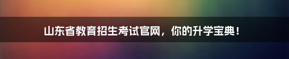 山东省教育招生考试官网,你的升学宝典!