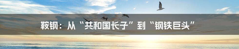 鞍钢:从“共和国长子”到“钢铁巨头”