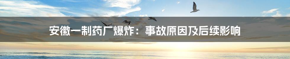安徽一制药厂爆炸:事故原因及后续影响