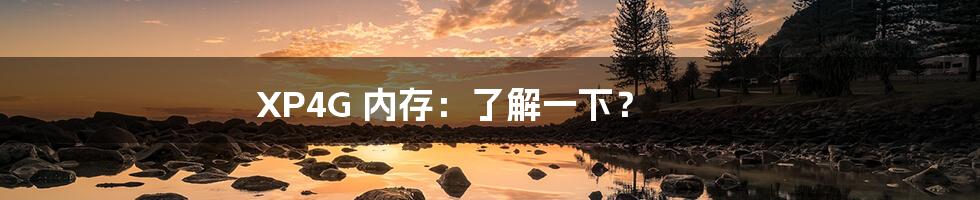 XP4G 内存:了解一下?