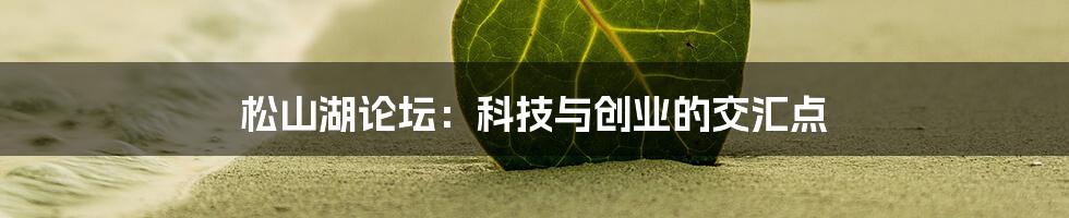 松山湖论坛:科技与创业的交汇点