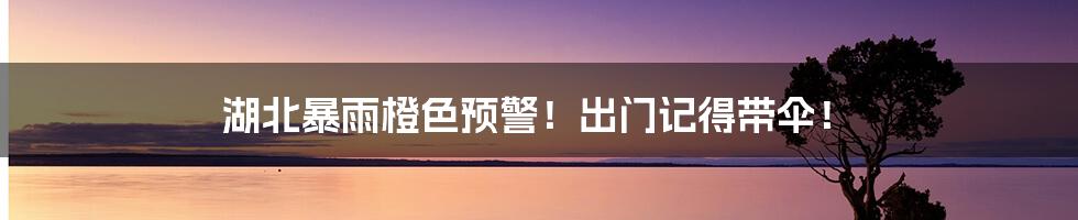 湖北暴雨橙色预警!出门记得带伞!