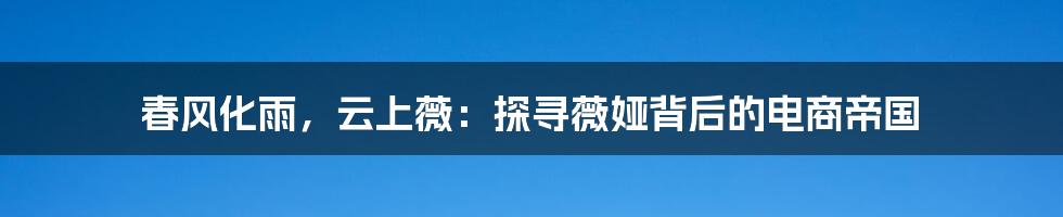春风化雨,云上薇:探寻薇娅背后的电商帝国