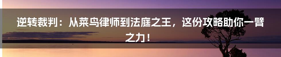 逆转裁判:从菜鸟律师到法庭之王,这份攻略助你一臂之力!