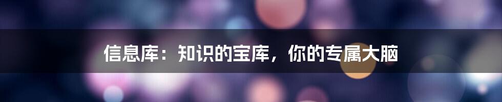 信息库:知识的宝库,你的专属大脑