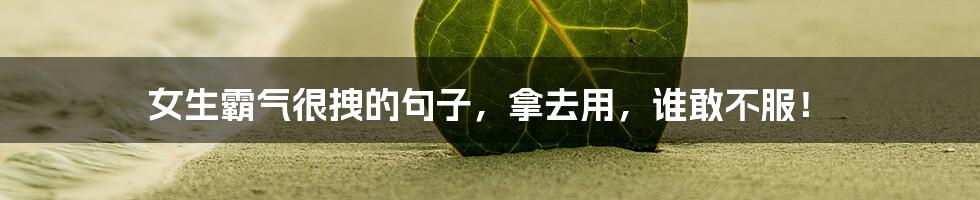 女生霸气很拽的句子,拿去用,谁敢不服!