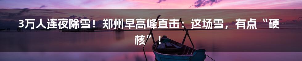 3万人连夜除雪!郑州早高峰直击:这场雪,有点“硬核”!
