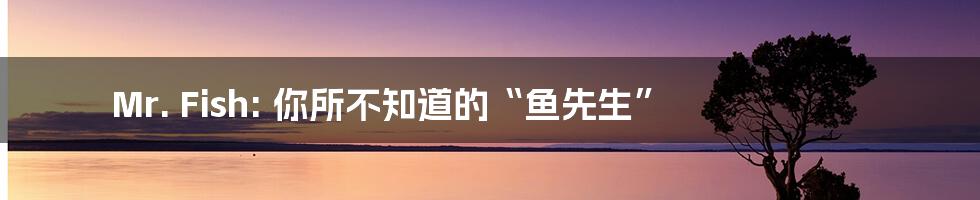 Mr. Fish: 你所不知道的“鱼先生”