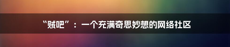 “贼吧”:一个充满奇思妙想的网络社区