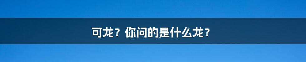 可龙?你问的是什么龙?