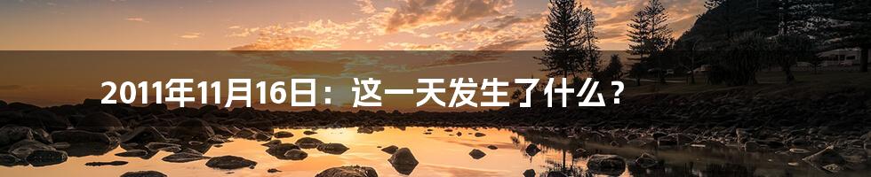 2011年11月16日：这一天发生了什么？