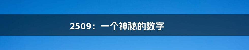 2509:一个神秘的数字