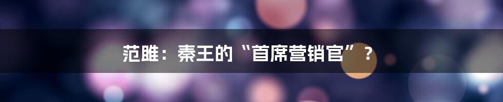 范雎:秦王的“首席营销官”?