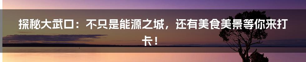 探秘大武口:不只是能源之城,还有美食美景等你来打卡!