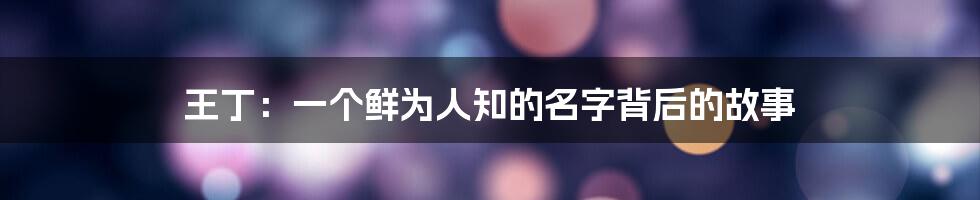 王丁:一个鲜为人知的名字背后的故事