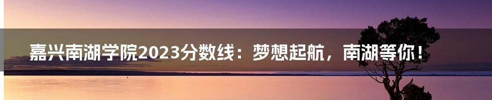 嘉兴南湖学院2023分数线:梦想起航,南湖等你!