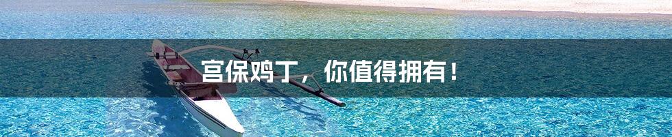 宫保鸡丁,你值得拥有!