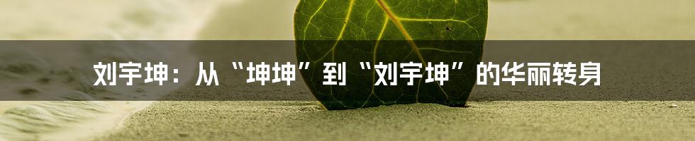刘宇坤:从“坤坤”到“刘宇坤”的华丽转身