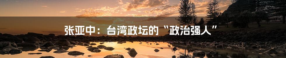 张亚中:台湾政坛的“政治强人”