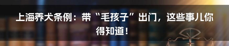 上海养犬条例:带“毛孩子”出门,这些事儿你得知道!